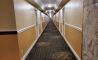 image11