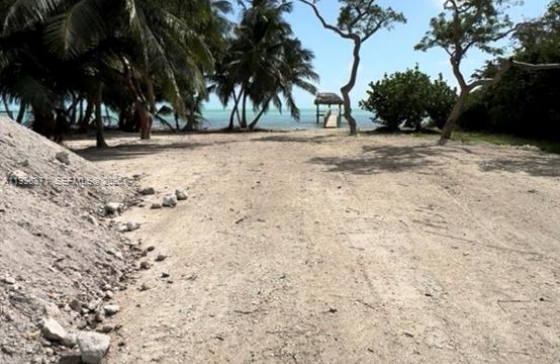 image3