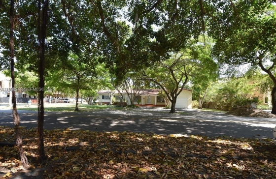 image1