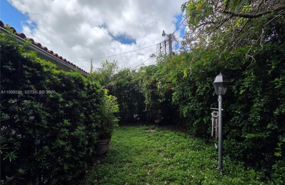 image10