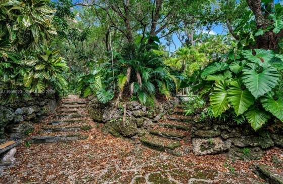 image10