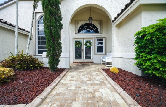 image5