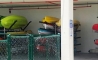 image20