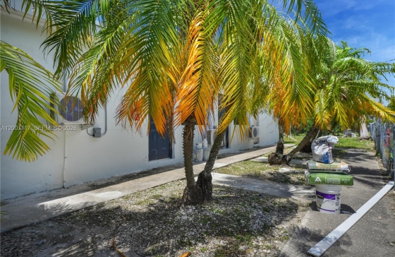 image10