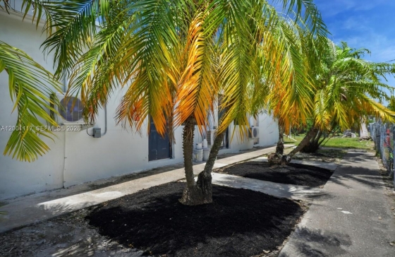 image11