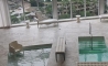 image20
