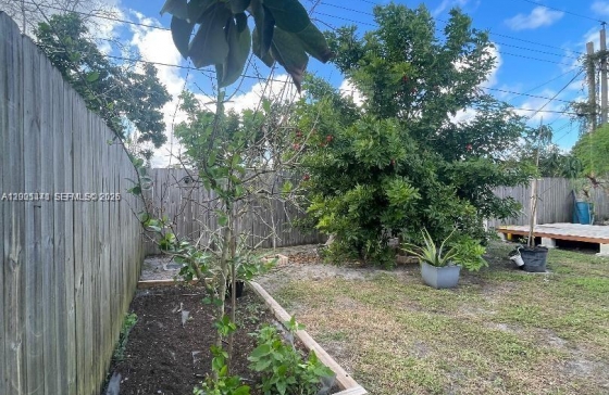 image15