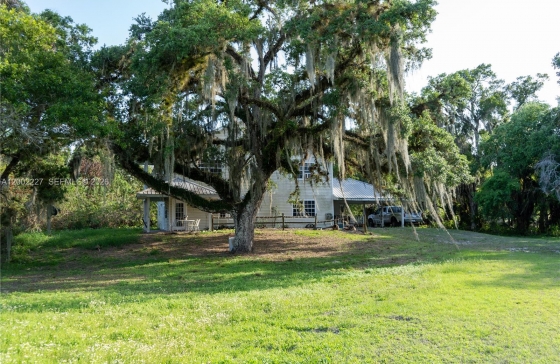image8