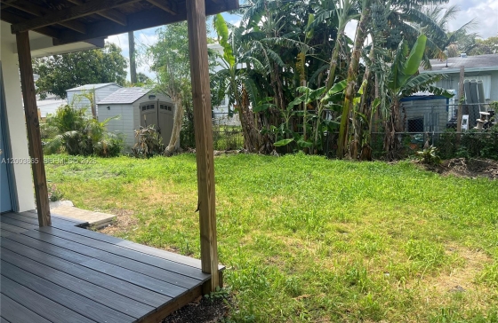 image11