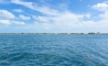 image22