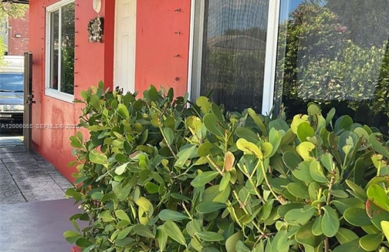image3