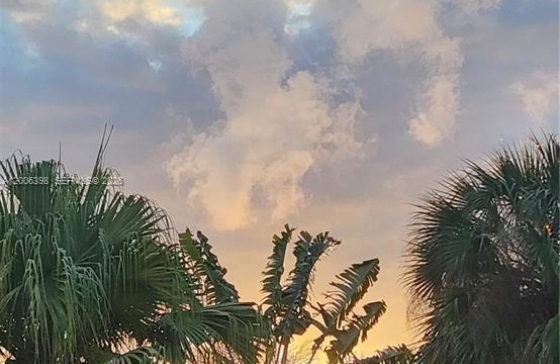image27