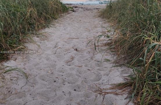 image38