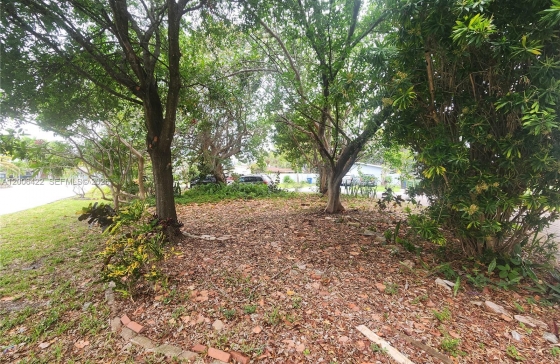 image15