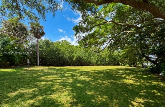 image10
