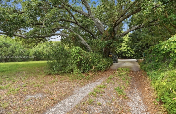 image31