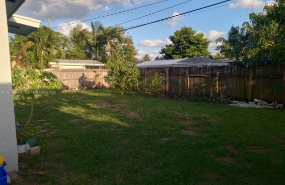 image10