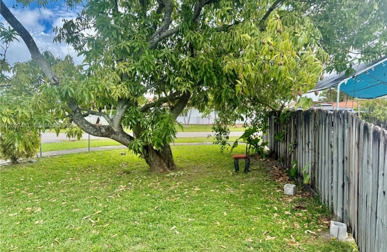 image8