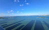 image38