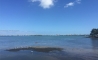 image21