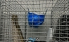 image23