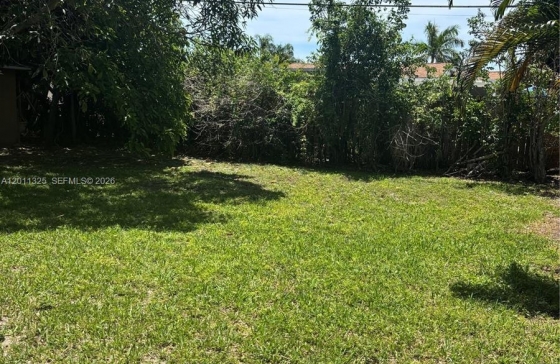 image11