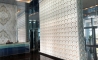 image11