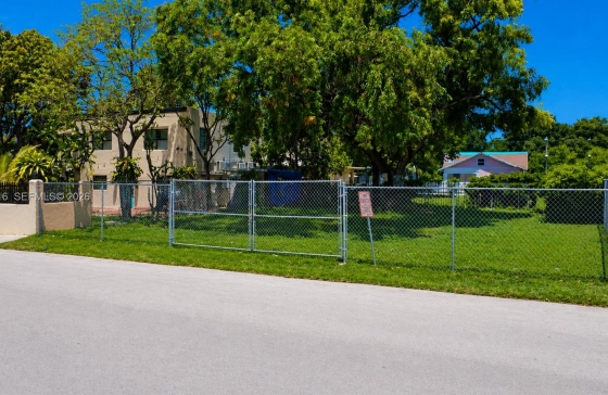 image11