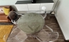 image11
