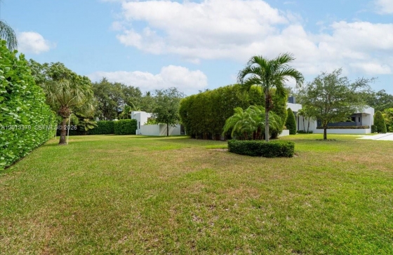 image19