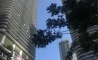 image21