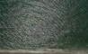 image19