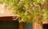 image0