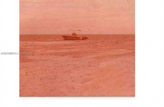 image4