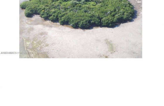 image6