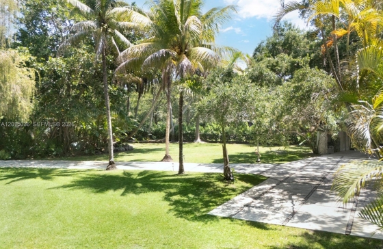 image4