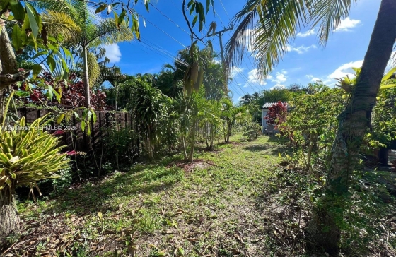 image19
