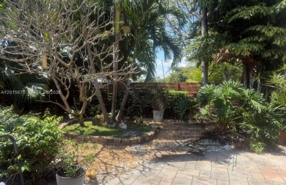 image5