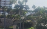 image10