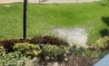 image11