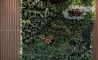 image18