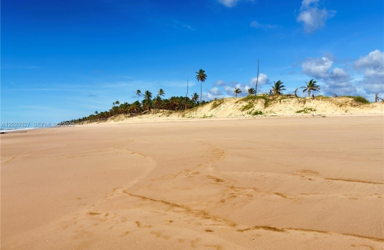 image15