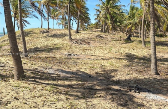image30