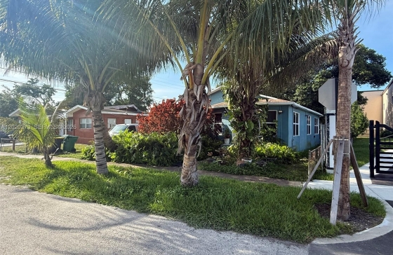 image11