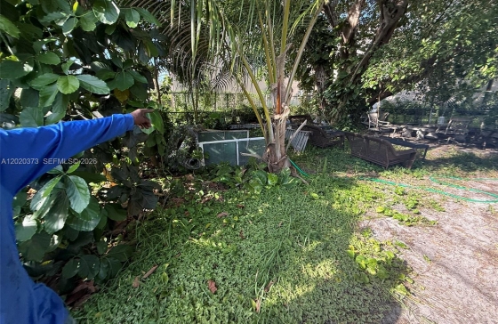 image6
