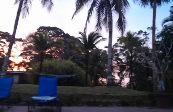 image10