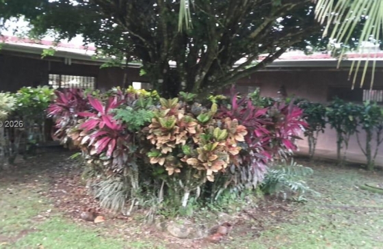 image16