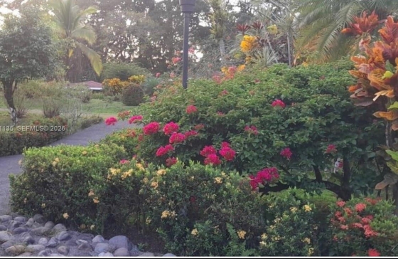 image12