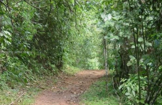 image8