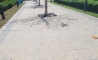 image11